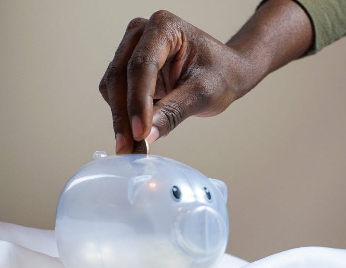 Young fan empties piggy bank to help Detroit Zoo renovate lion habitat 